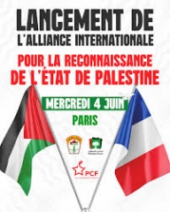 Palestine reconnaissance2.jpg